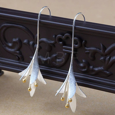 Valentine's Day Alloy Dangle Earrings WGA07D2-01-1