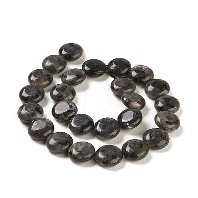 Natural Larvikite Beads Strands G-M403-C09-02-1