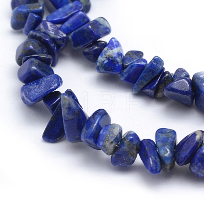 Natural Lapis Lazuli Beads Strands X-G-P332-50-1