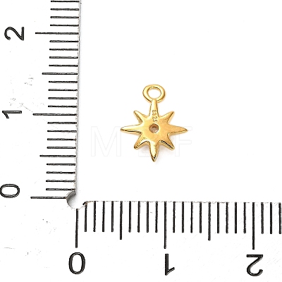 925 Sterling Silver Clear Cubic Zirconia Star Charms STER-U009-06G-01-1