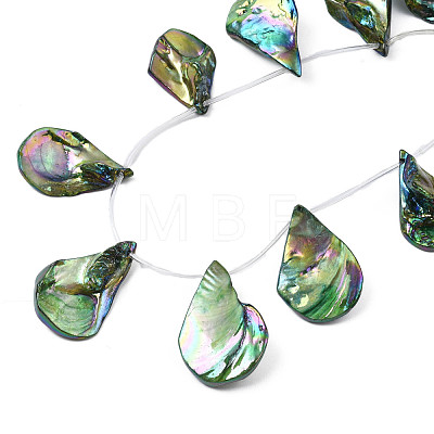 Electroplated Natural Freshwater Shell Beads SHEL-N026-196-1