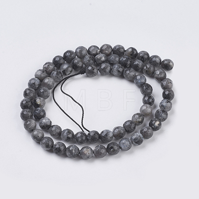 Natural Larvikite Beads Strands G-G542-6mm-27-1