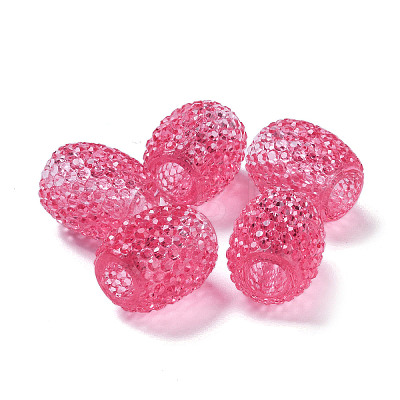 Transparent Resin European Jelly Colored Beads RESI-B025-01A-06-1