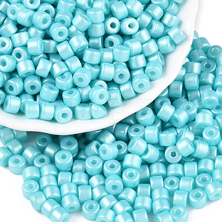 Baking Paint Pearlized Glass Seed Beads SEED-T008-03Q-1