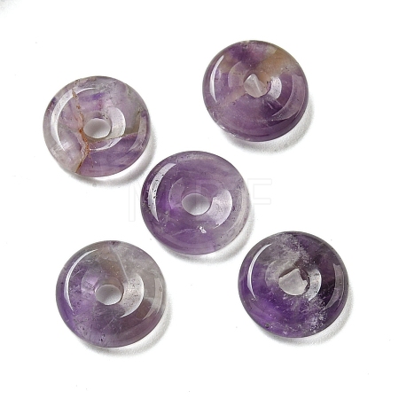 Natural Amethyst Donut/Pi Disc Charms G-G142-01S-1