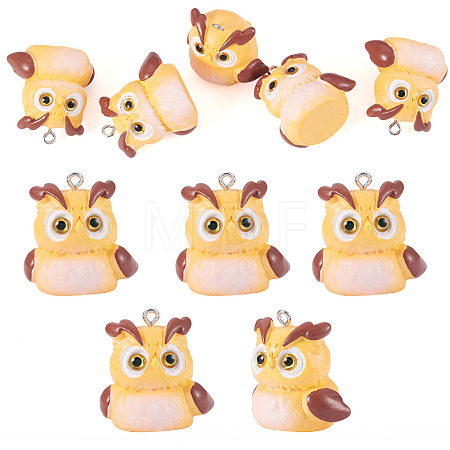5Pcs Opaque Resin Pendants RESI-TADJ0001-26C-1