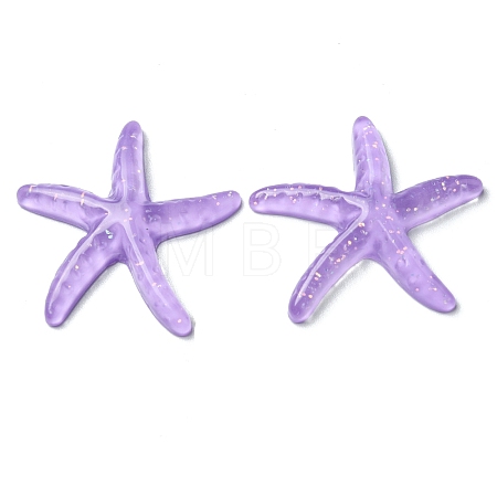 Translucent Resin Sea Animal Cabochons RESI-B016-01E-1