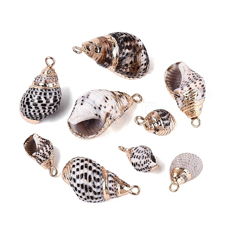 Electroplate Natural Spiral Shell Pendants SSHEL-Q100-44G-1