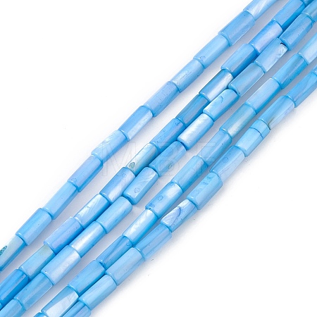 Natural Freshwater Shell Dyed Beads Strands X-SHEL-M018-11-06-1