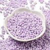 Glass Seed Beads SEED-K009-02B-06-2