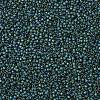 TOHO Round Seed Beads SEED-JPTR15-0706-2