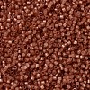 MIYUKI Delica Beads SEED-J020-DB2178-1