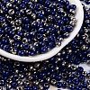 Glass Seed Beads SEED-A032-06L-1