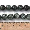 Natural Seraphinite Beads Strands G-C270-O01-11-5