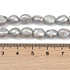 Natural Cultured Freshwater Pearl Beads Strands PEAR-P064-20J-04E-5