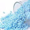 TOHO Round Seed Beads SEED-TR11-0403F-1