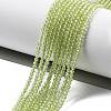 Natural Peridot Beads Strands G-B107-A06-01A-2