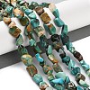 Natural Hubei Turquoise Beads Strands G-P497-01C-51-2