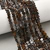 Natural Bronzite Beads Strands G-G085-B60-02-1