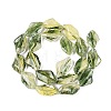 Handmade Lampwork Beads Strands LA-N046-02F-2