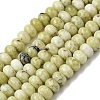 Natural Yellow Turquoise(Jasper) Beads Strands G-A280-A02-02-2