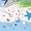  15 Styles Natural Shell Display Decorations FIND-NB0003-18-5