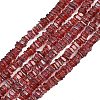 Natural Red Garnet Beads Strands G-Z152-F03-03-2