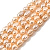 Natural Cultured Freshwater Pearl Beads Strands PEAR-I007-01P-02-2