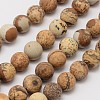 Natural Picture Jasper Beads Strands G-D686-8mm-1