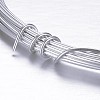 Round Aluminum Craft Wire AW-D009-1.5mm-10m-21-2