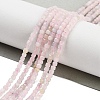 Natural Morganite Beads Strands G-H042-B05-01-2