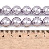 Electroplated Shell Pearl Graduated Beads Strands BSHE-C011-04-03-3