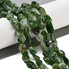 Natural Canadian Jade Beads Strands G-NH0001-G05-01-2