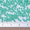 MIYUKI Round Rocailles Beads SEED-X0054-RR0572-4