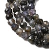 Natural Iolite Beads Strands G-G343-B01-3mm-4