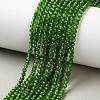 Natural Green Diopside Beads Strands GG-CBA4941-A02-3mm-1
