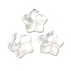 Natural White Shell Mother of Pearl Shell Pendants LS-SSHEL-G014-60-4