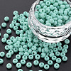 6/0 Glass Seed Beads SEED-T005-14-B25-4