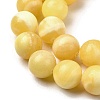 Natural Yellow Jade Beadd Strands X-G-A274-A01-14mm-4