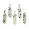 Natural Sesame Jasper Pointed Pendants G-M378-01P-A11-1