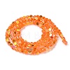 Transparent Electroplate Glass Beads Strands GLAA-Q099-A01-06-2