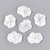 Natural White Shell Carved Leaf Beads BSHE-T014-31A-1