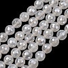 Electroplated Natural Agate Beads Strands G-B191-A07-8mm-20-2