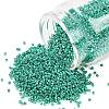 MIYUKI Delica Beads X-SEED-J020-DB2505-1