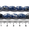 Natural Blue Spot Jasper Beads Strands G-P520-C05-01-5