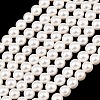 Electroplated Shell Pearl Beads Strands BSHE-C011-02-1