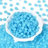 Opaque Colours Glass Seed Beads SEED-N007-39B-06-2