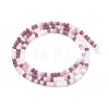 Faceted Glass Beads Strands GLAA-F106-B-F09-2