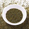 MIYUKI Delica Beads SEED-X0054-DB0604-2