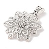Tibetan Style Alloy Focal Pendants LS-LF9727Y-2